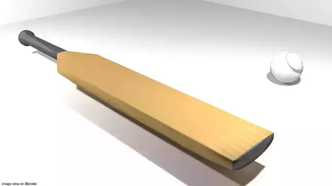 Sport Equipment - Cricket