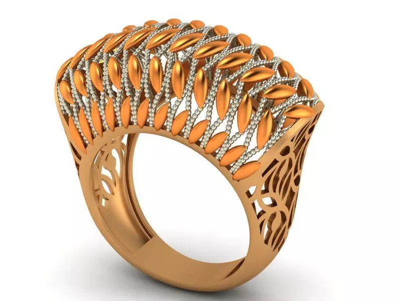ring fusion 3D print model_0