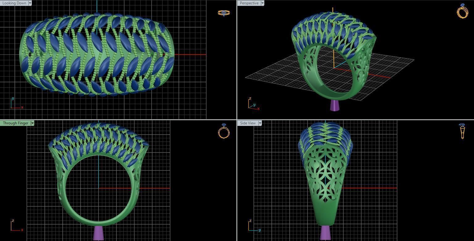 ring fusion 3D print model_5