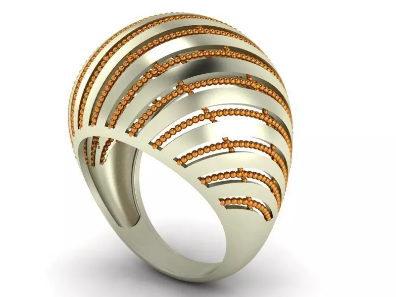 ring fusion 3D print model_0