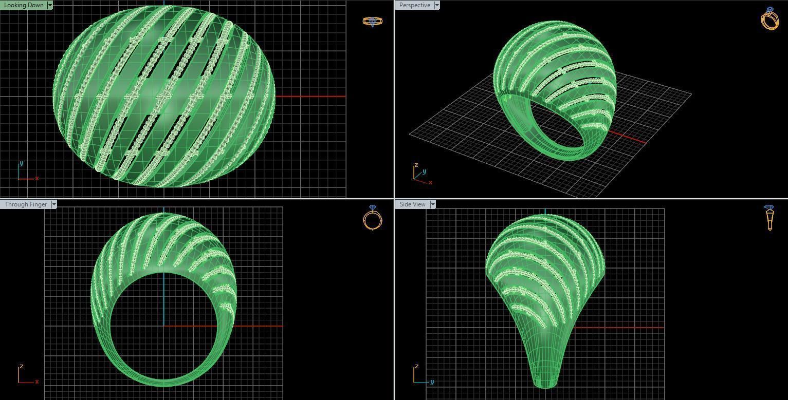 ring fusion 3D print model_5