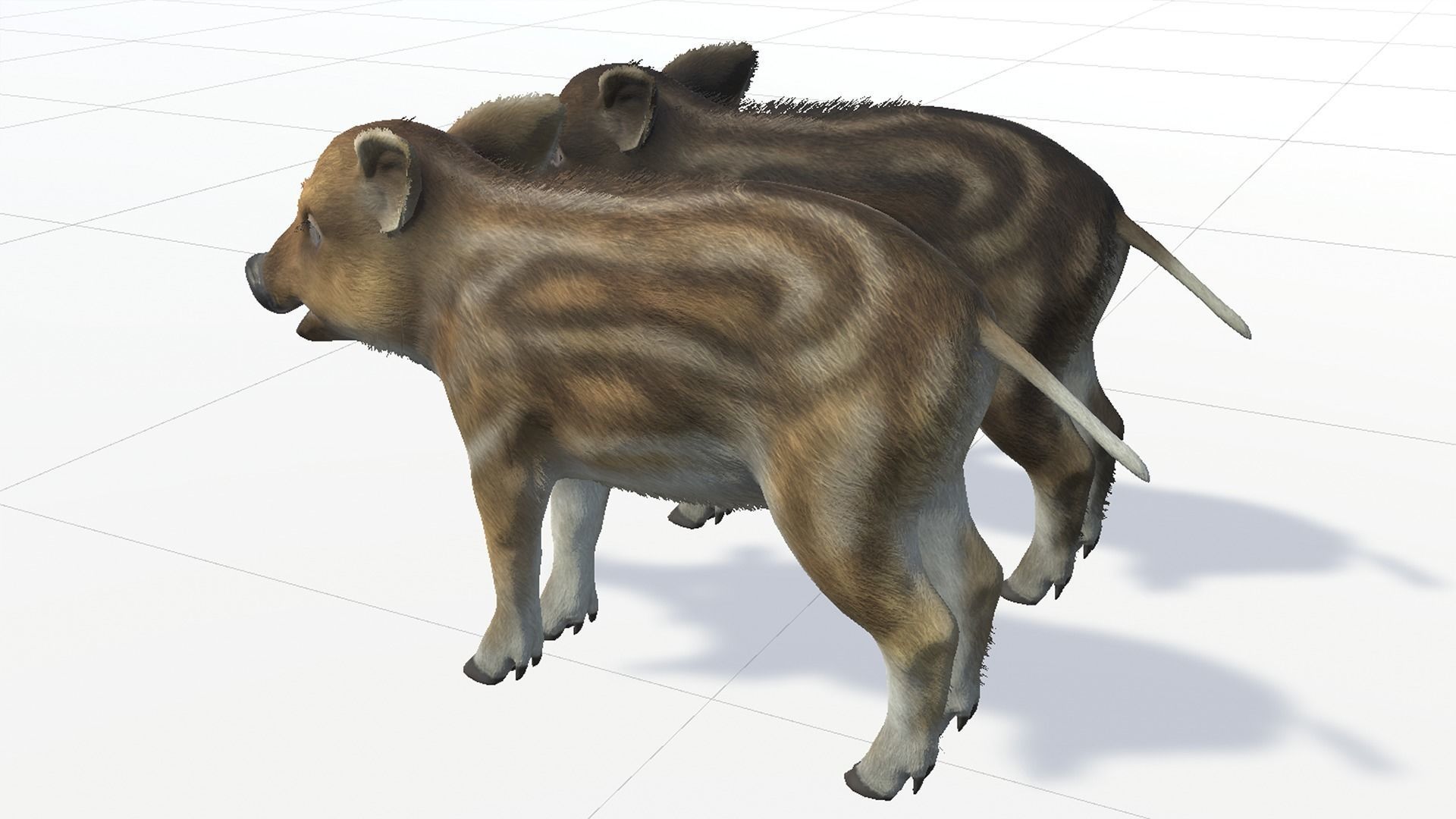 Wild Boar - Family 3D Model Collection_23