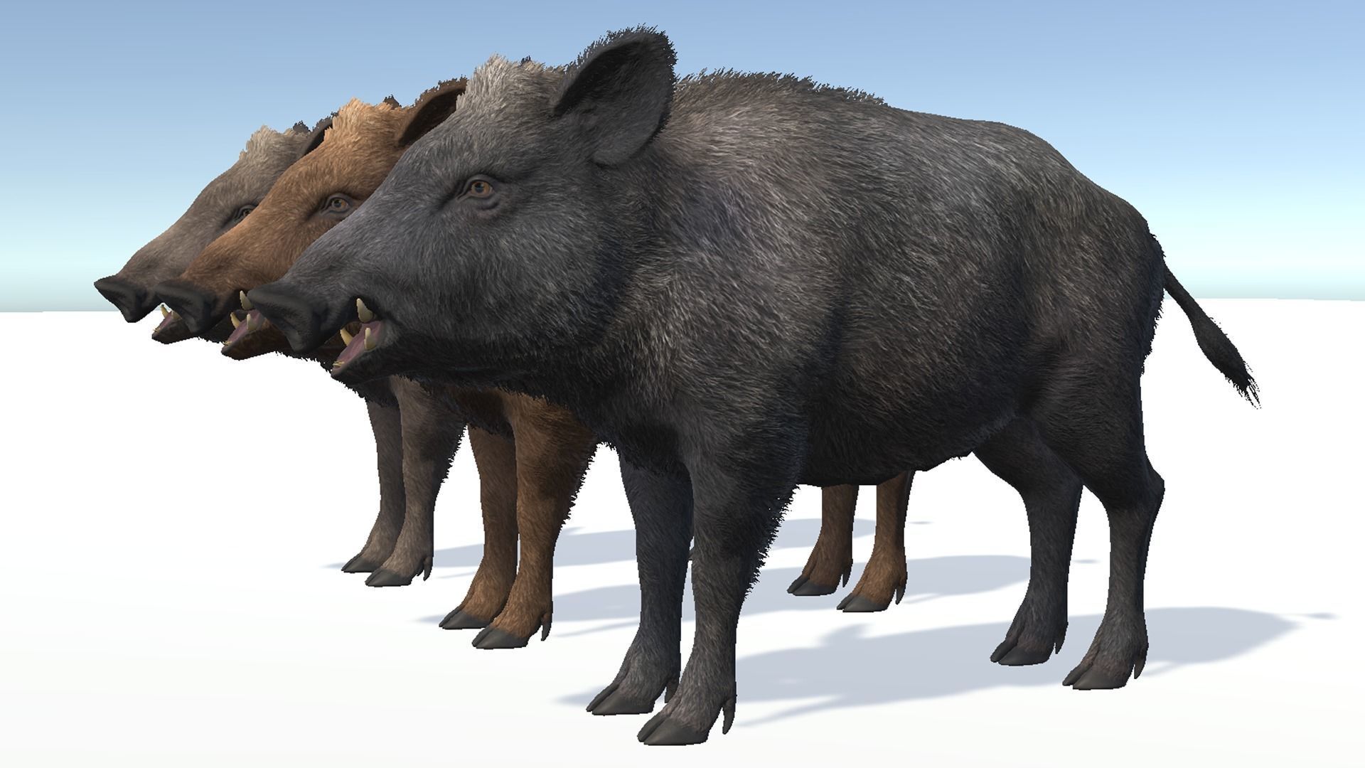 Wild Boar - Family 3D Model Collection_17