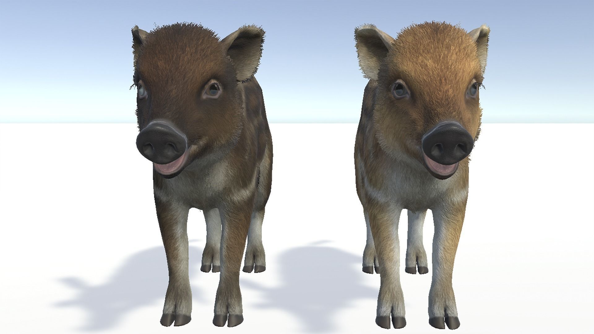 Wild Boar - Family 3D Model Collection_21