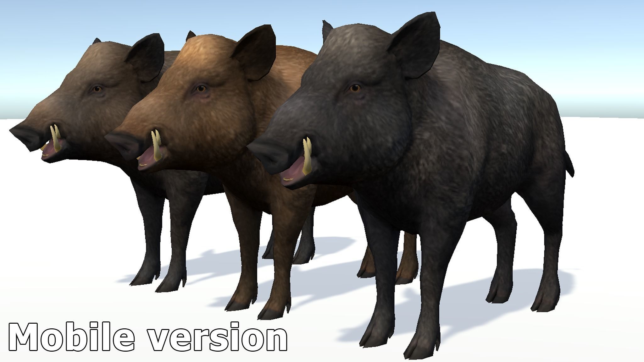 Wild Boar - Family 3D Model Collection_14