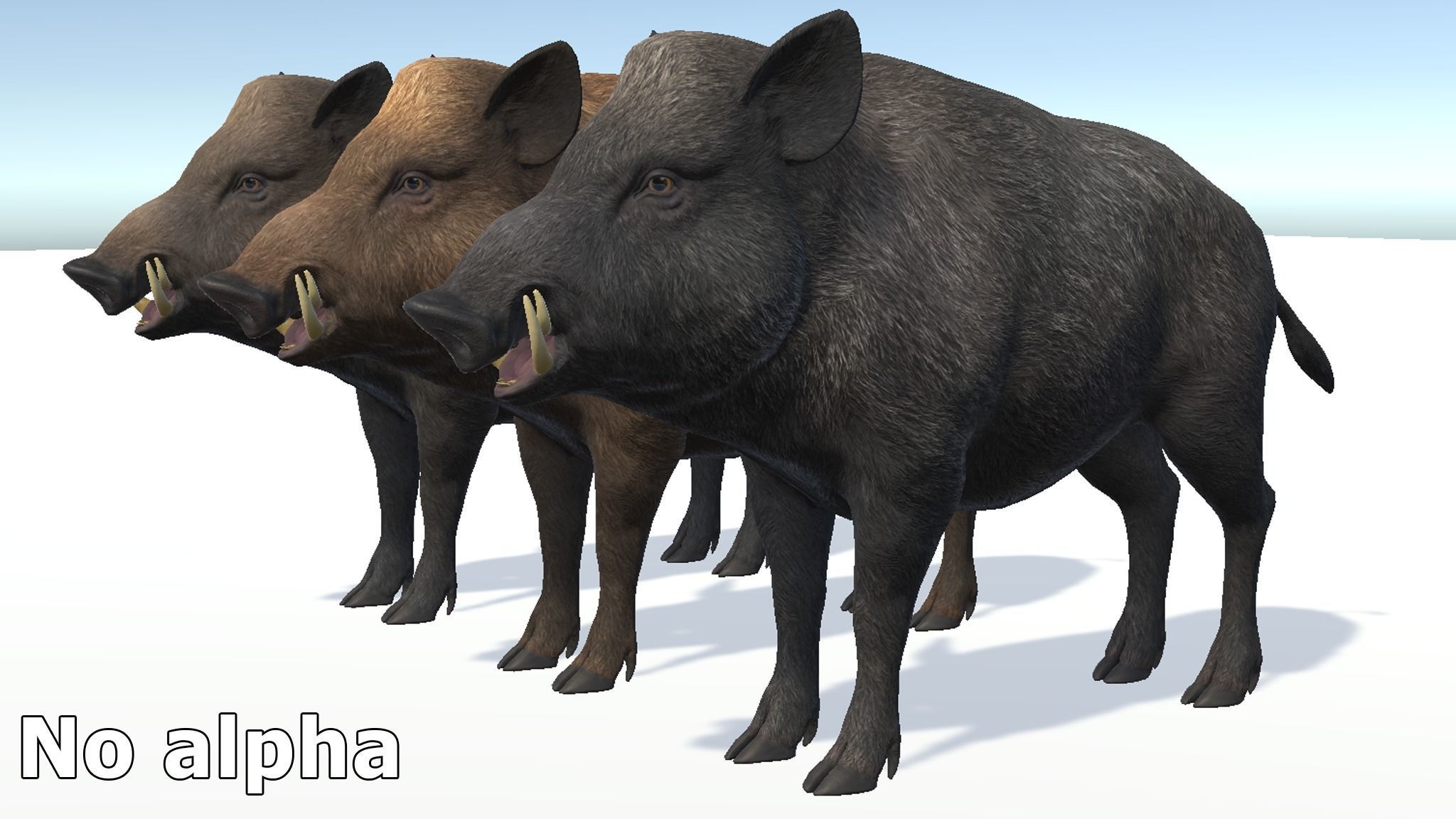 Wild Boar - Family 3D Model Collection_13
