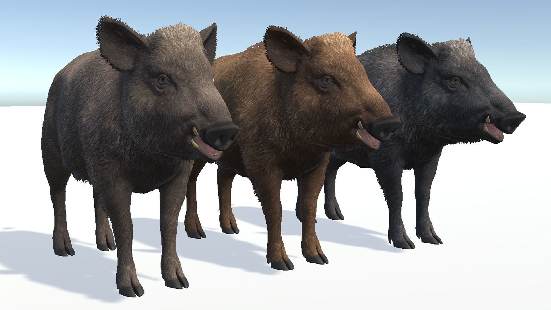 Wild Boar - Family 3D Model Collection_16