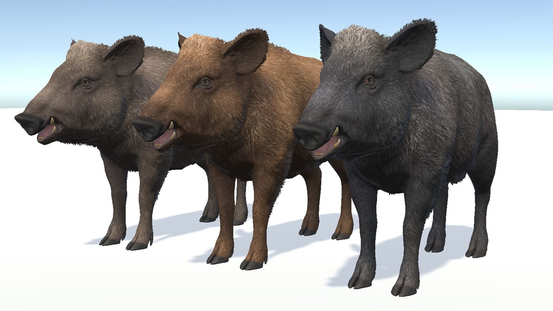 Wild Boar - Family 3D Model Collection_15