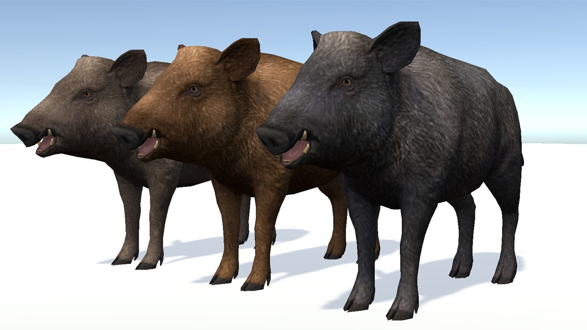 Wild Boar - Family 3D Model Collection_20
