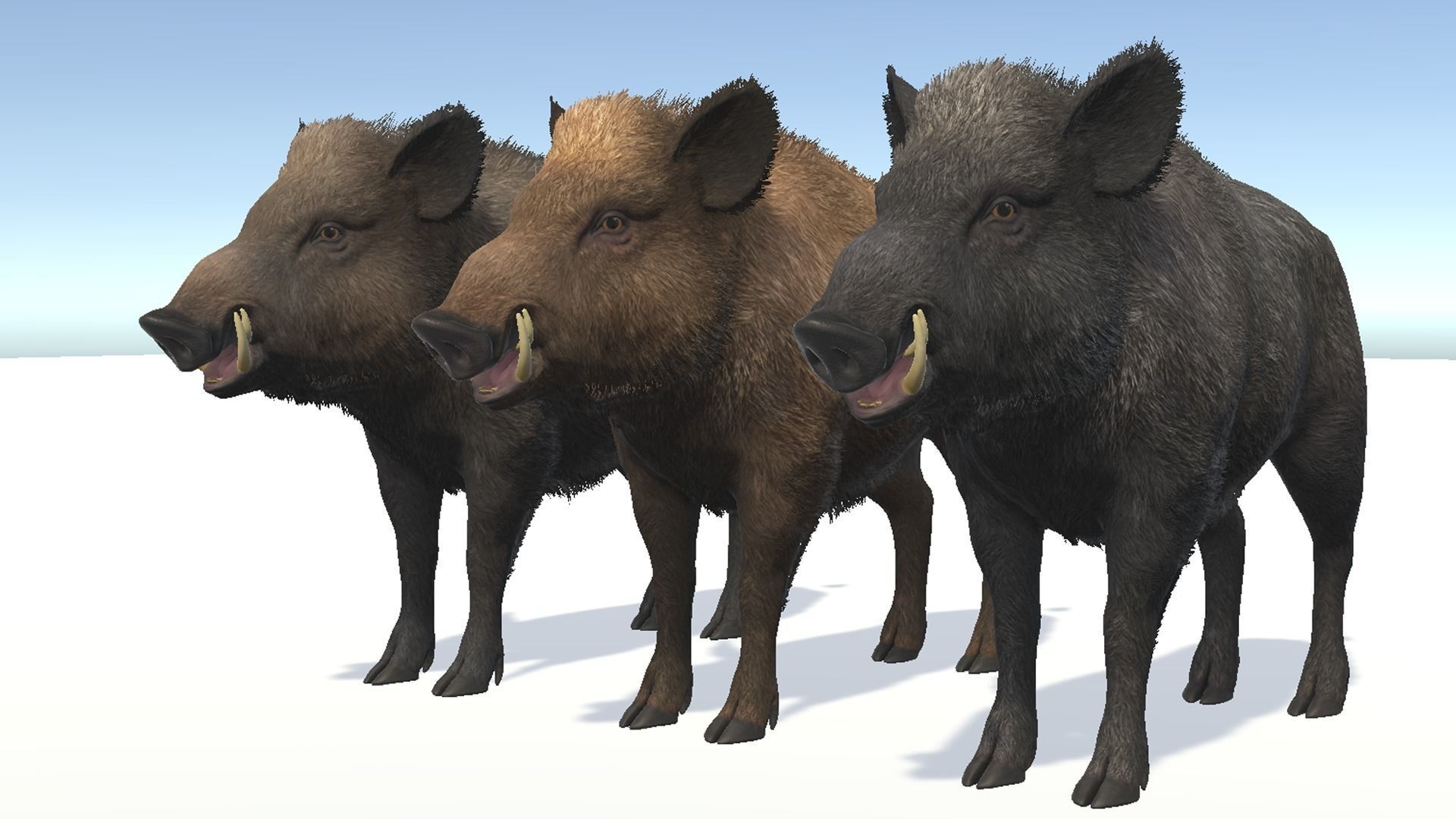 Wild Boar - Family 3D Model Collection_9