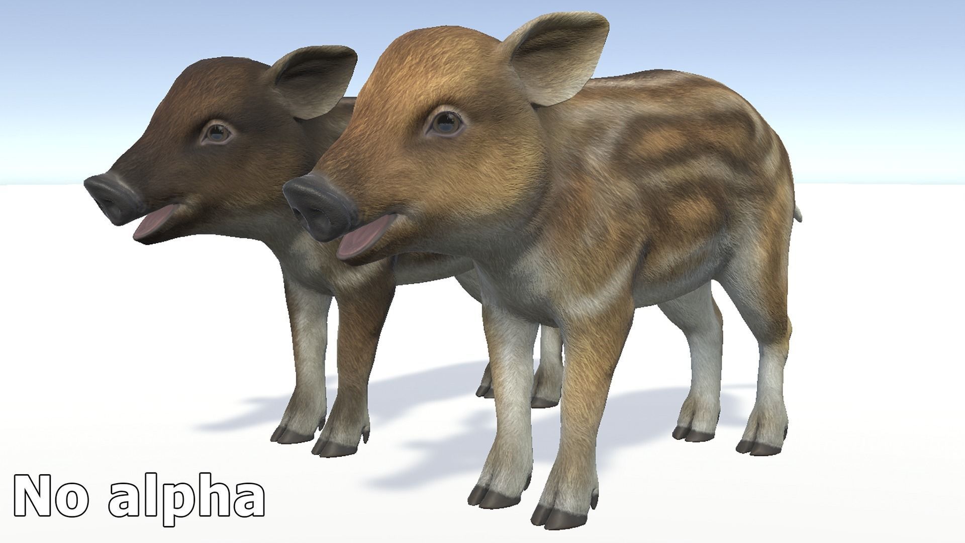 Wild Boar - Family 3D Model Collection_25