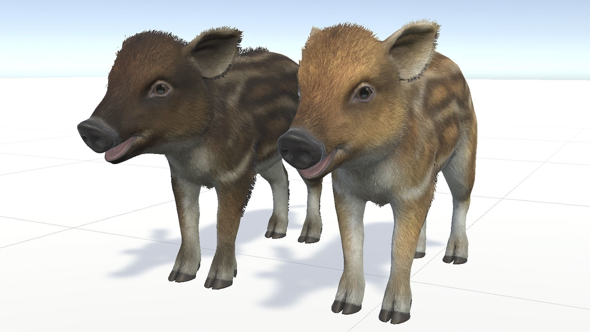 Wild Boar - Family 3D Model Collection_22