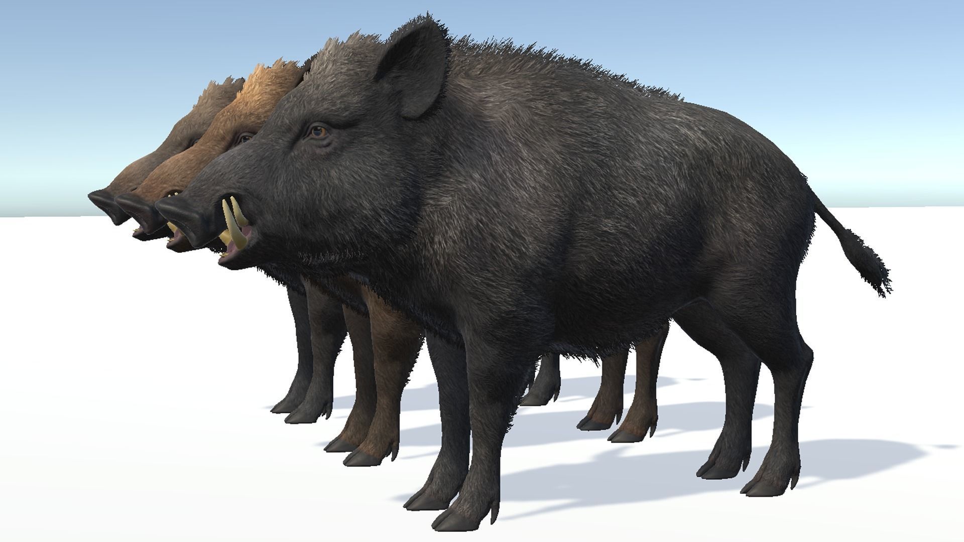 Wild Boar - Family 3D Model Collection_11