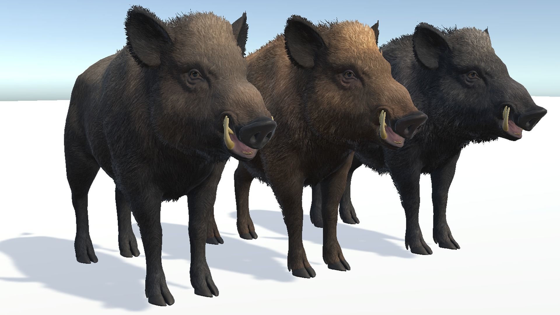 Wild Boar - Family 3D Model Collection_10