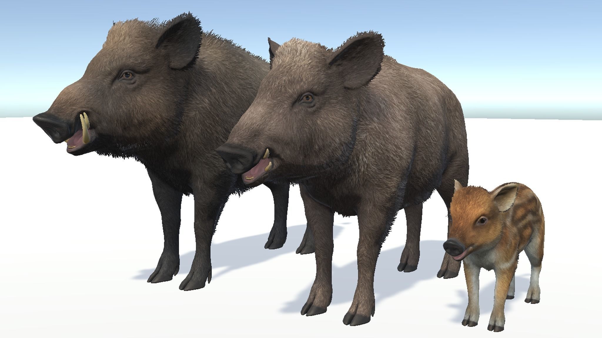 Wild Boar - Family 3D Model Collection_6