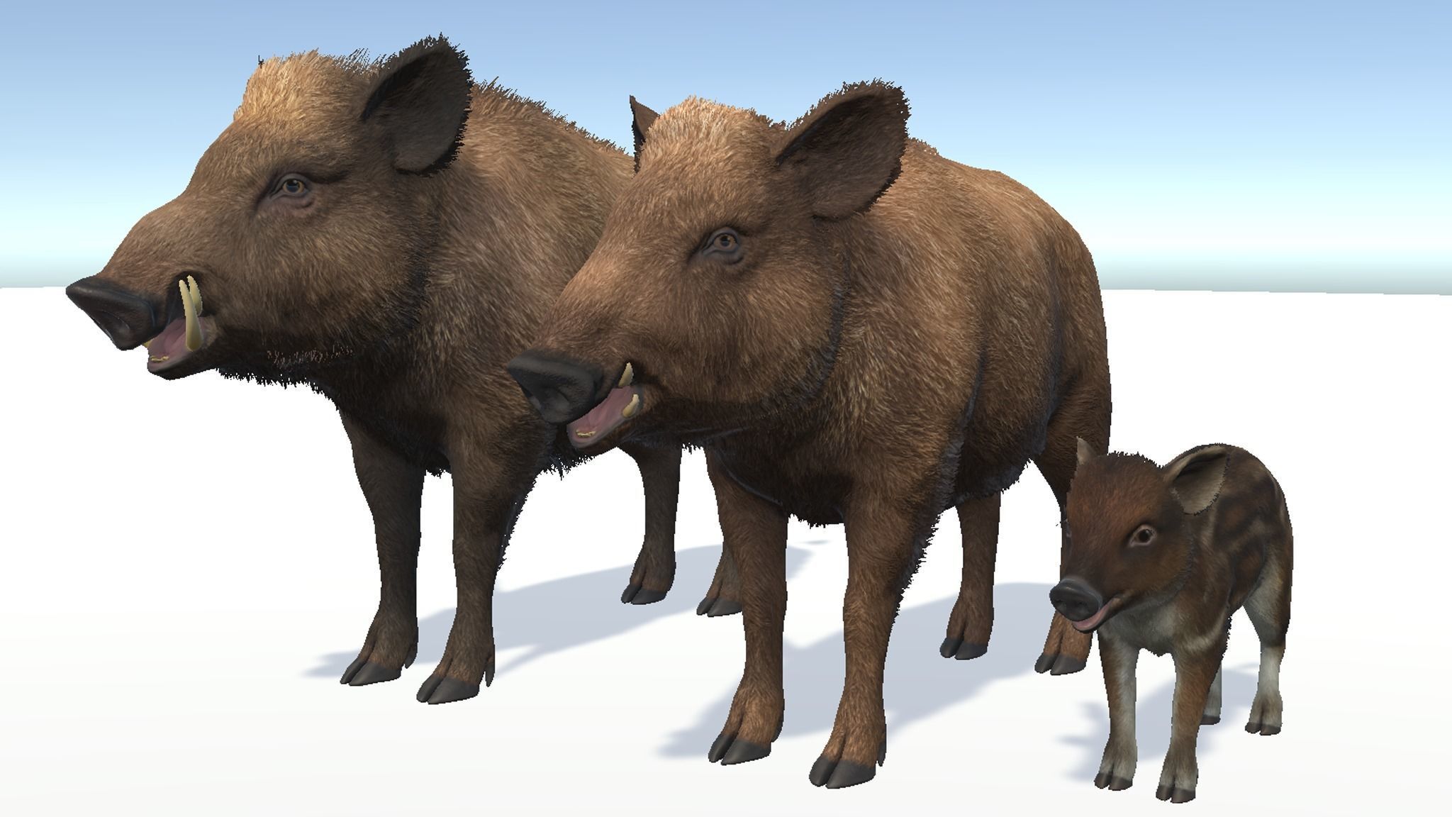 Wild Boar - Family 3D Model Collection_7
