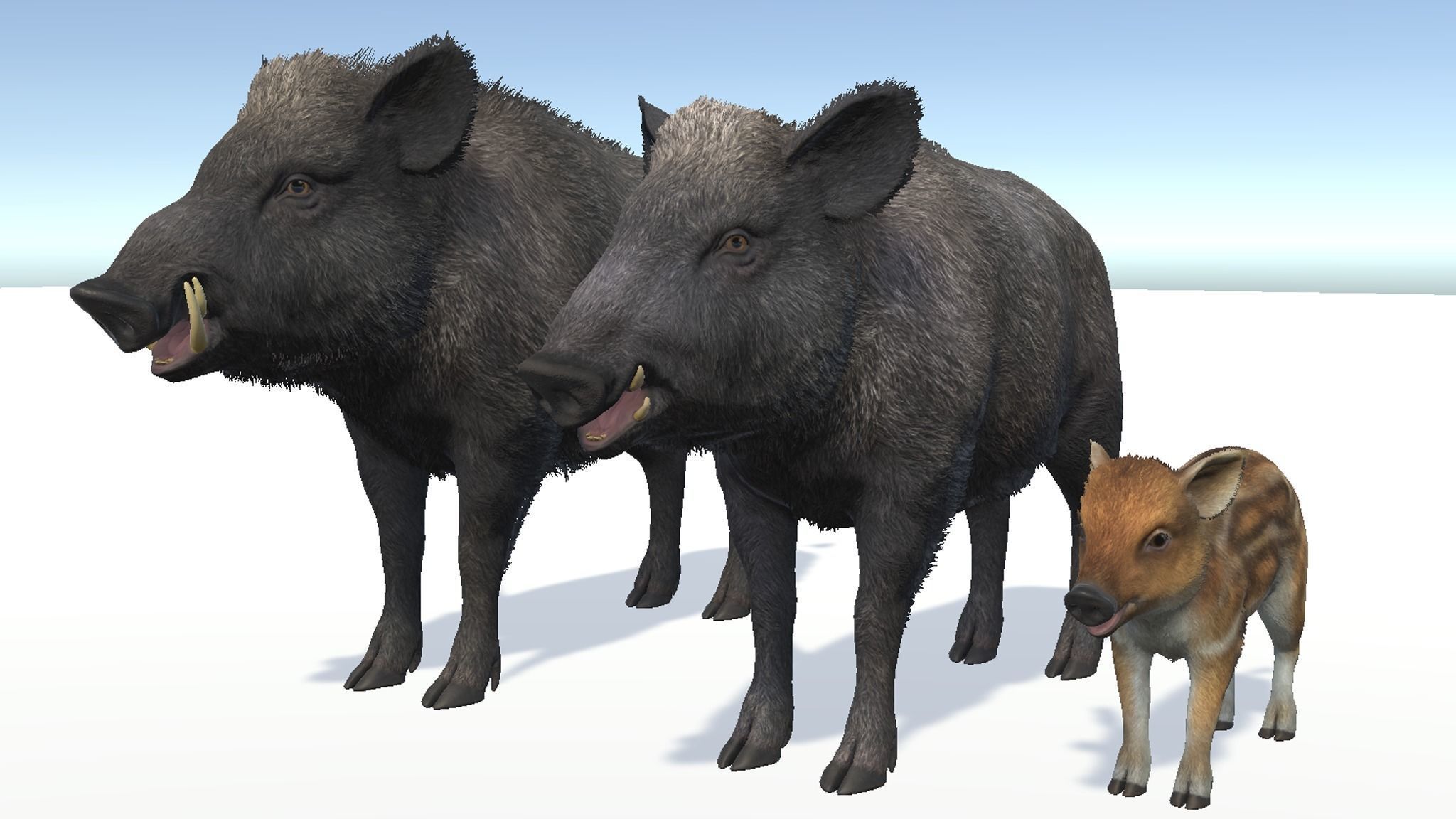 Wild Boar - Family 3D Model Collection_5