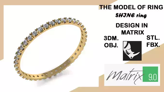 SHINE model of ring VOL 24   3D print model