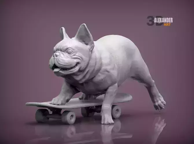 French bulldog on a skateboard