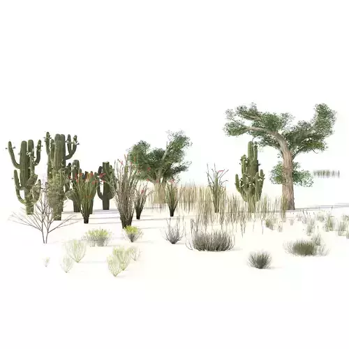 low poly desert plants weed and trees Low-poly 3D model