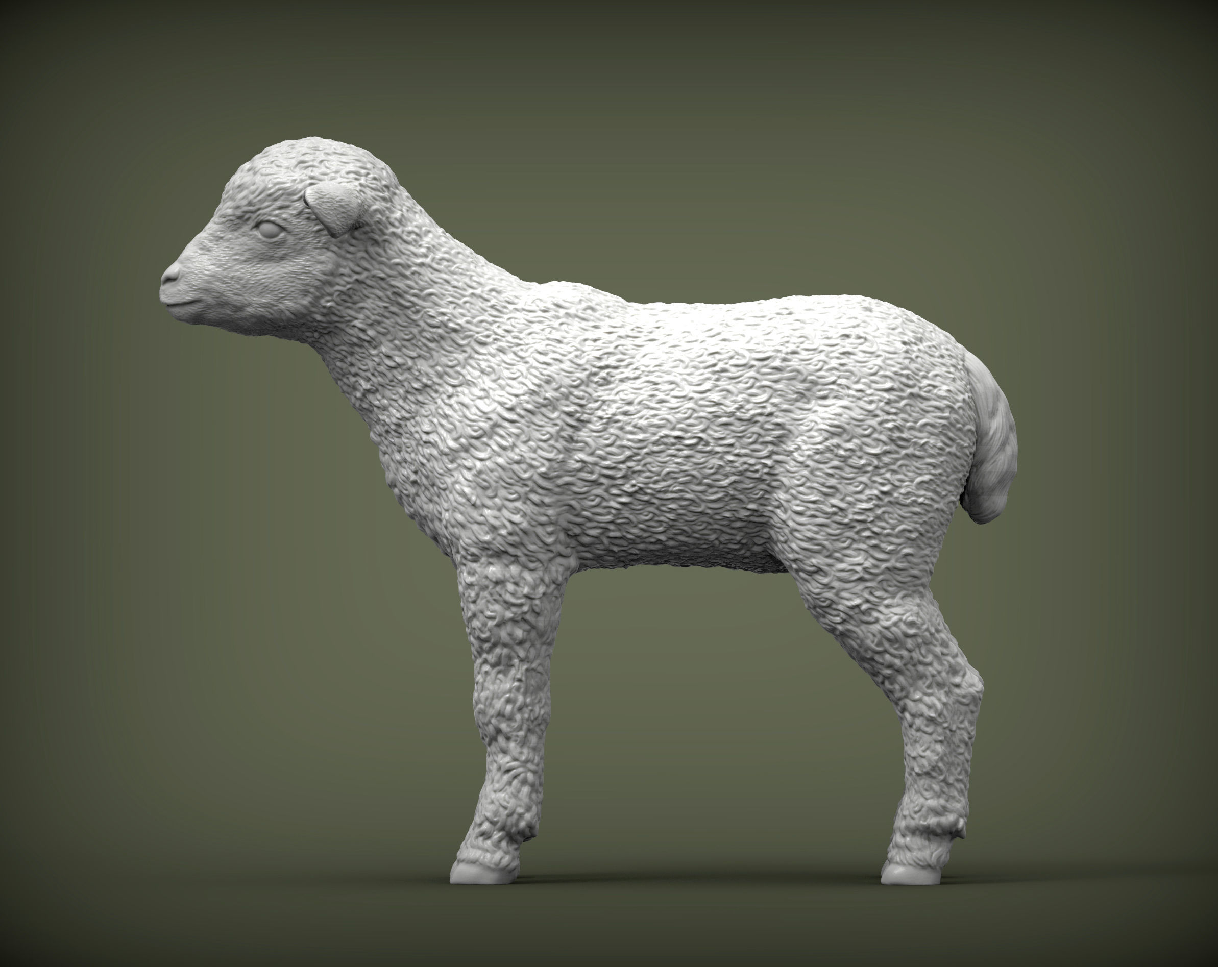 Lamb 3D print model 3D print model_4
