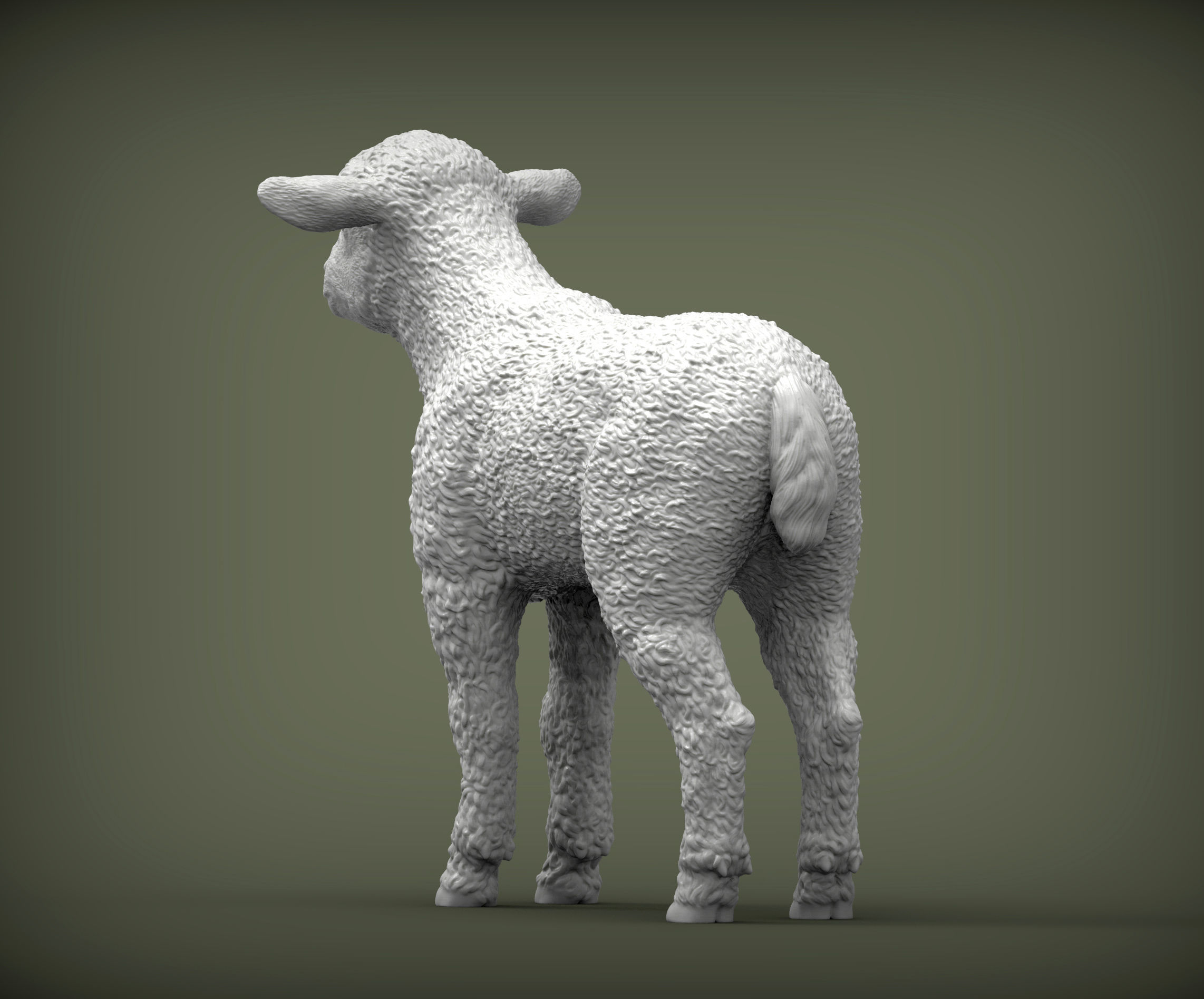 Lamb 3D print model 3D print model_5