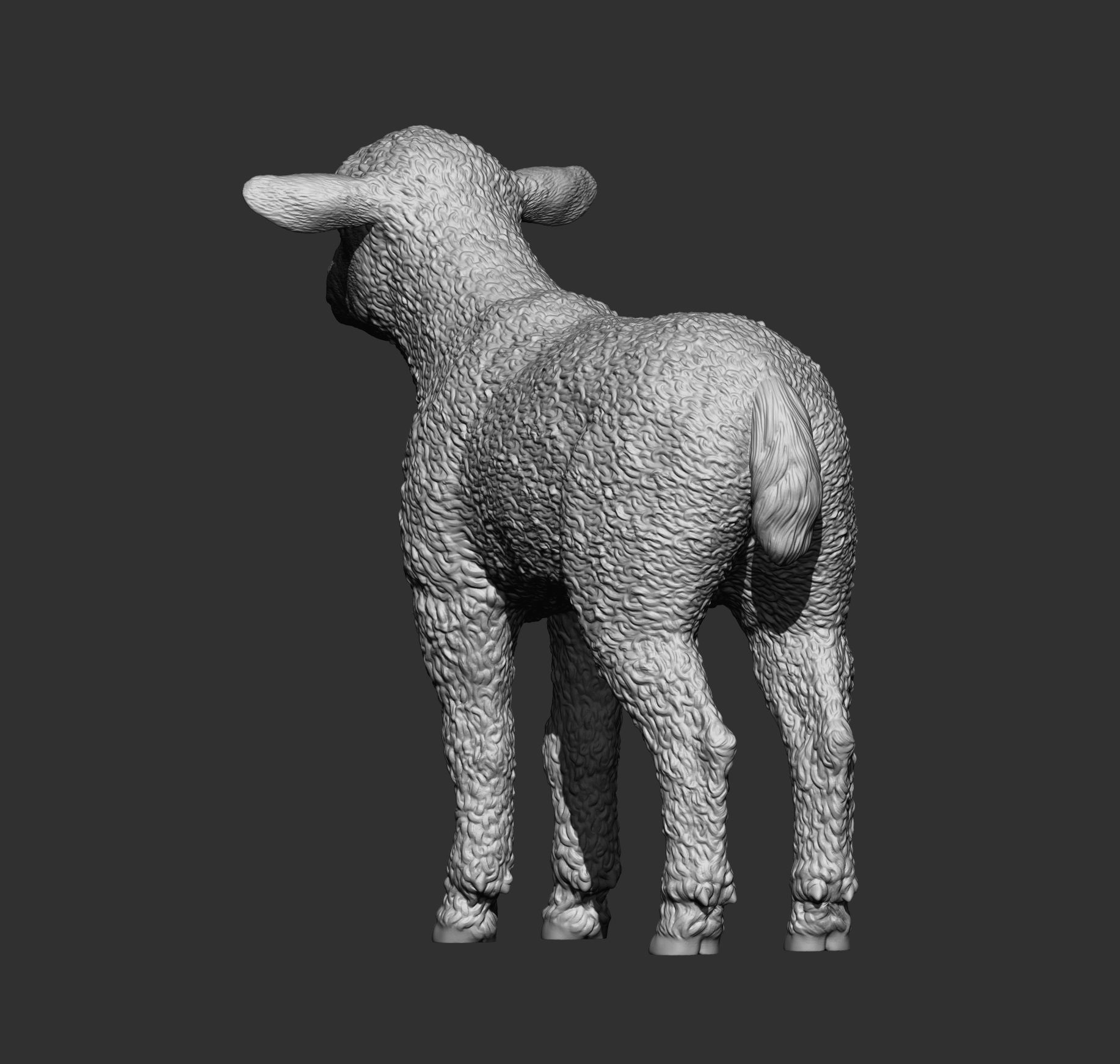 Lamb 3D print model 3D print model_7