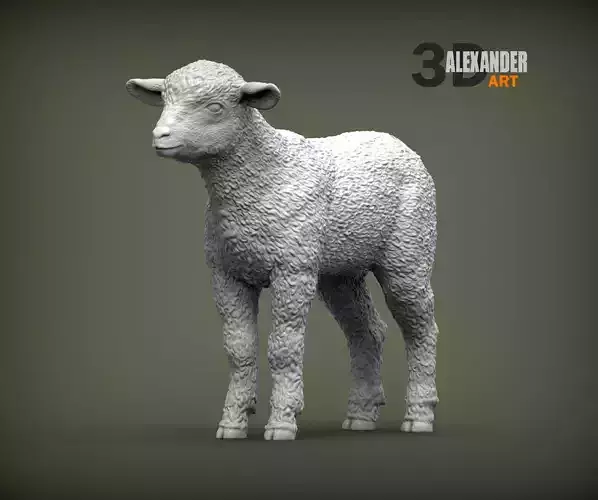 Lamb 3D print model 3D print model