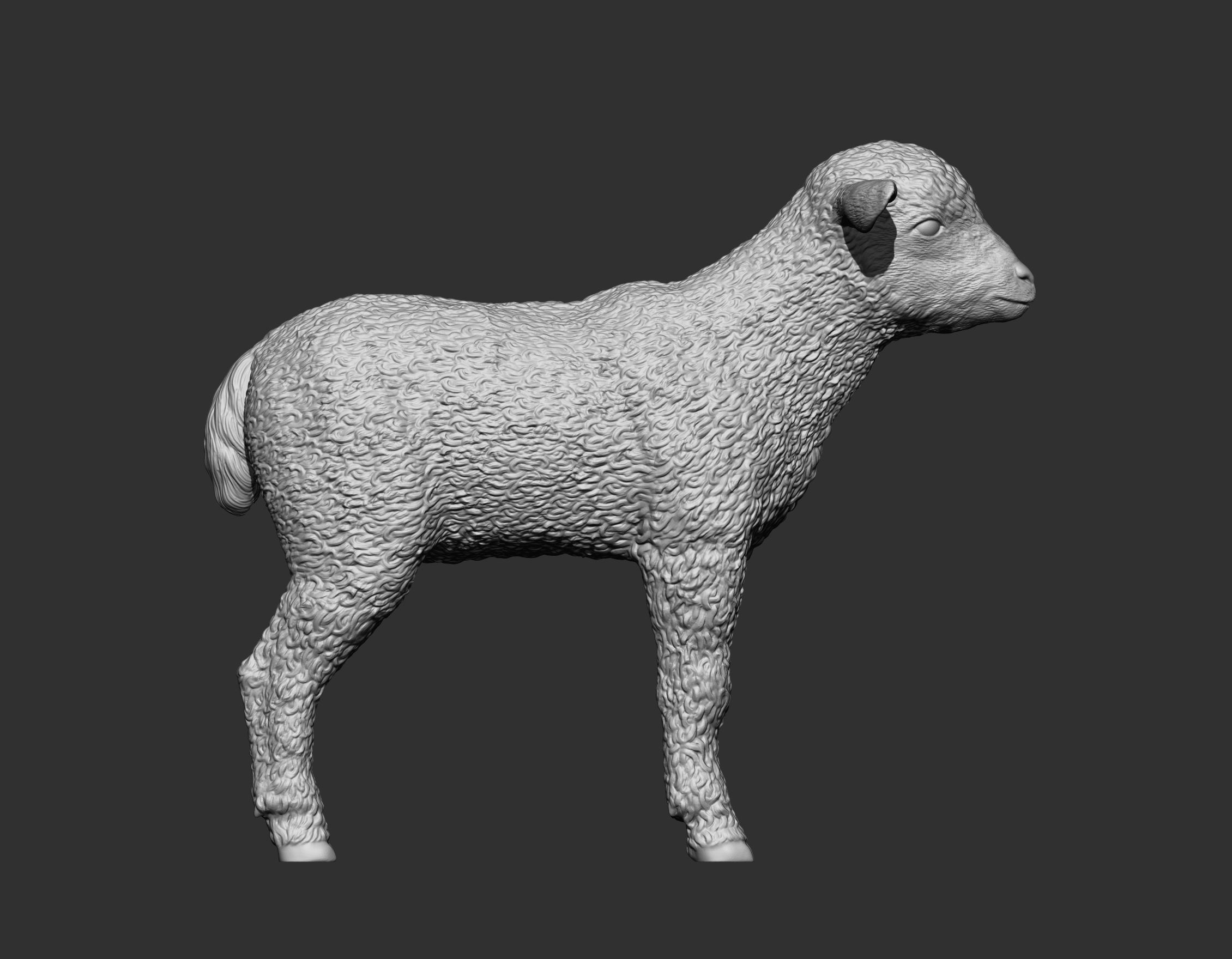 Lamb 3D print model 3D print model_8