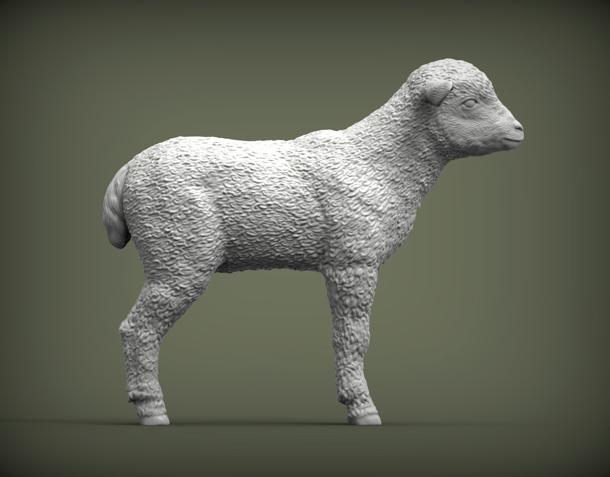 Lamb 3D print model 3D print model_3