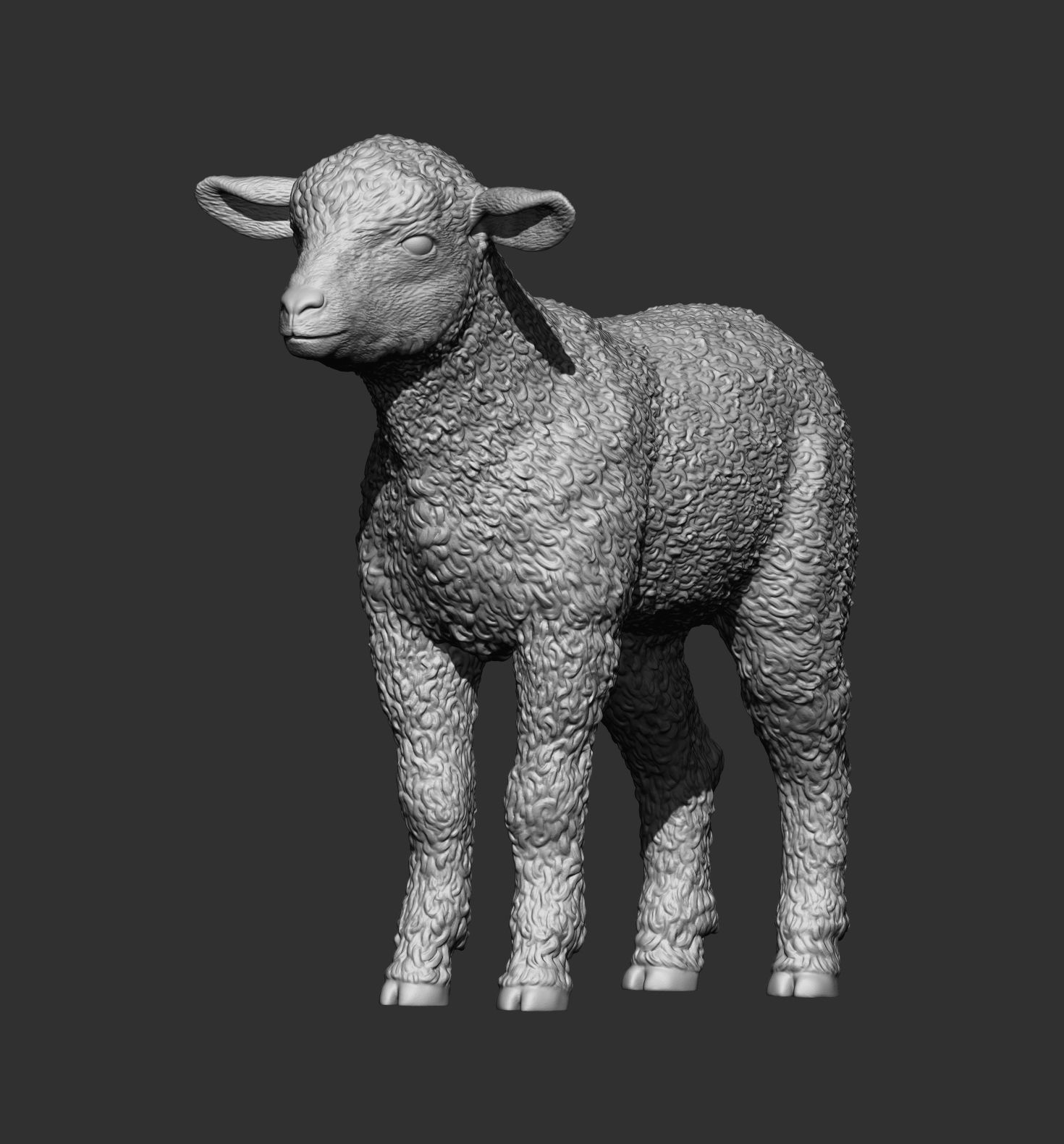 Lamb 3D print model 3D print model_6
