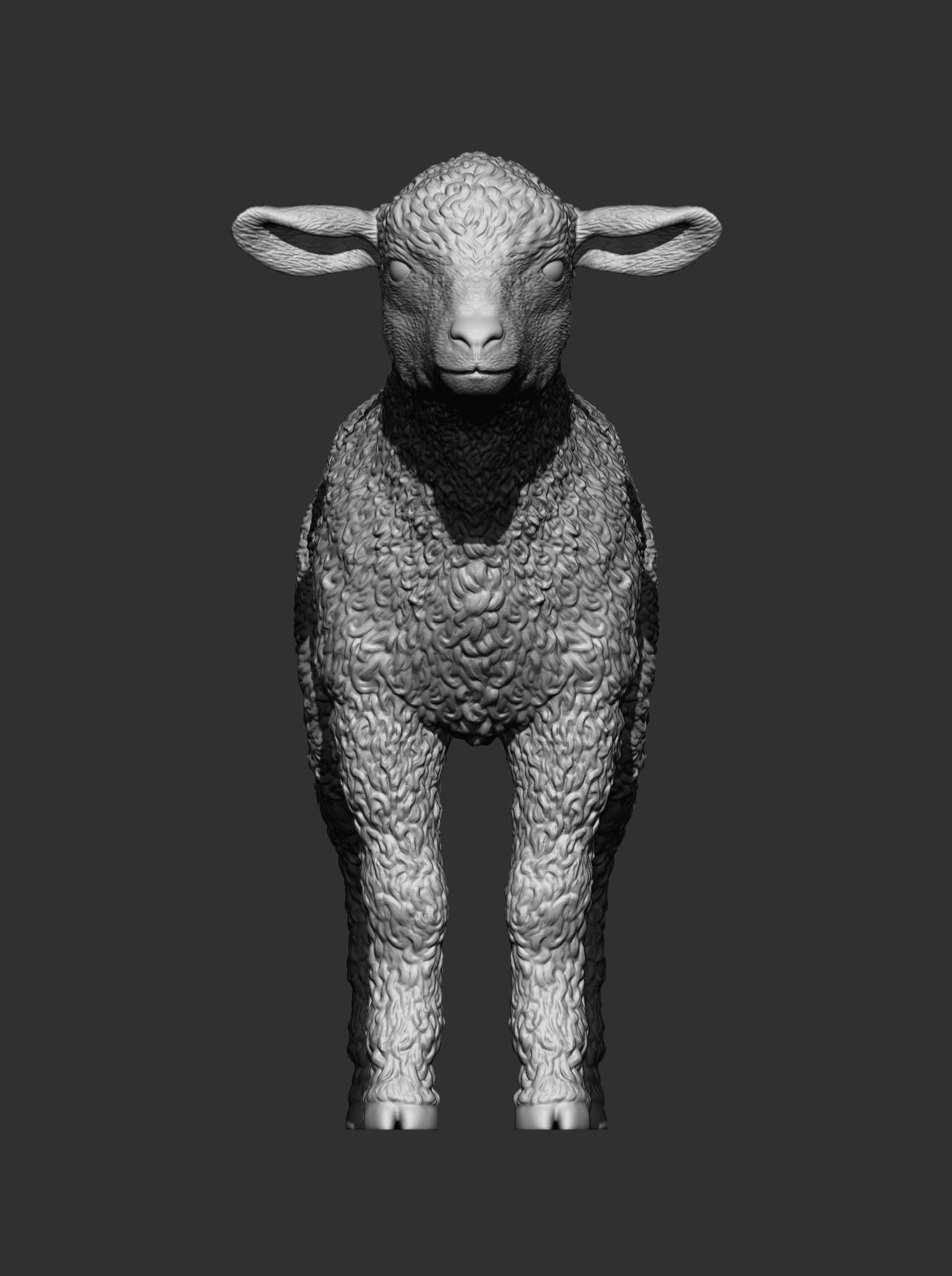 Lamb 3D print model 3D print model_10