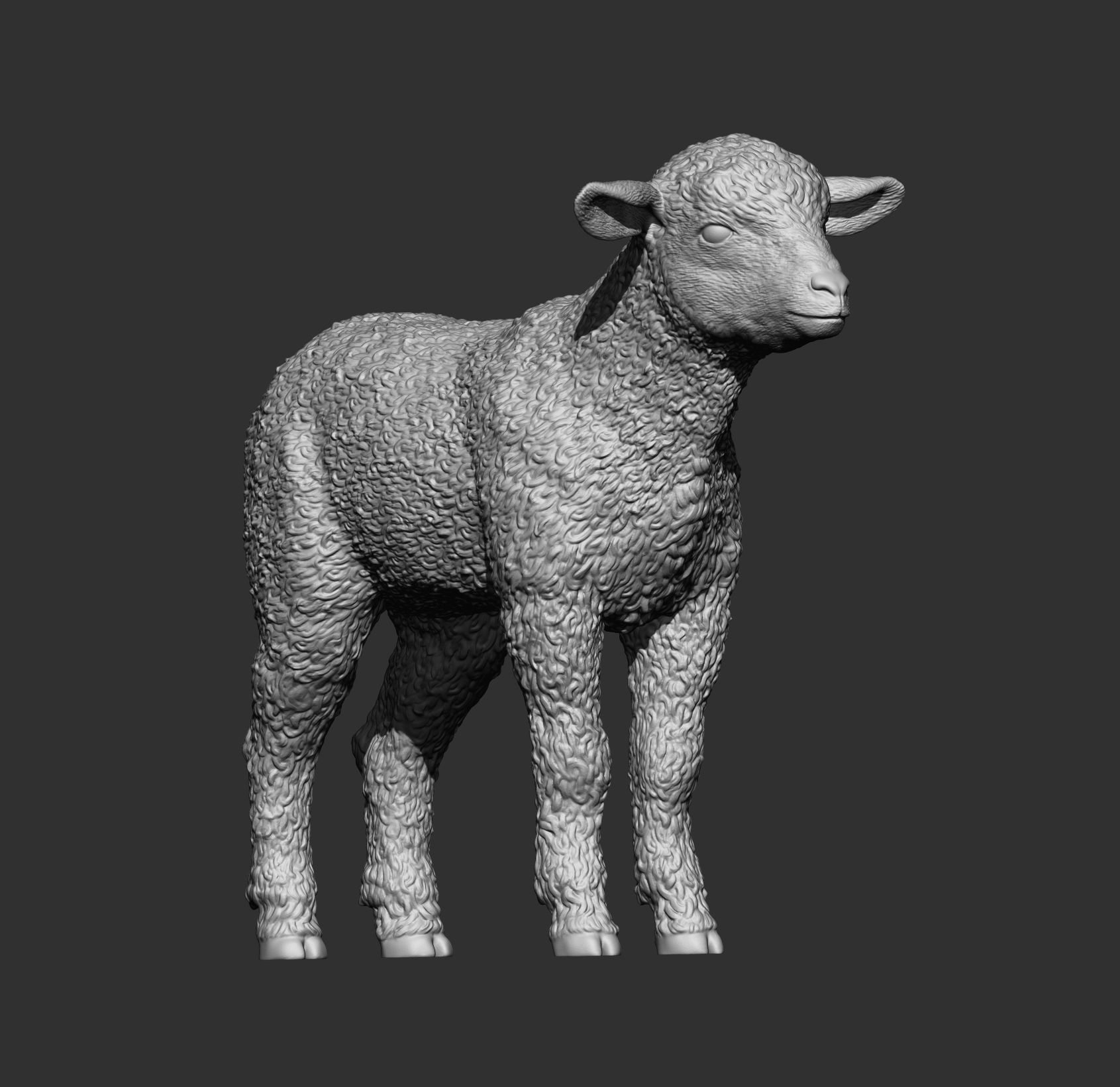 Lamb 3D print model 3D print model_9