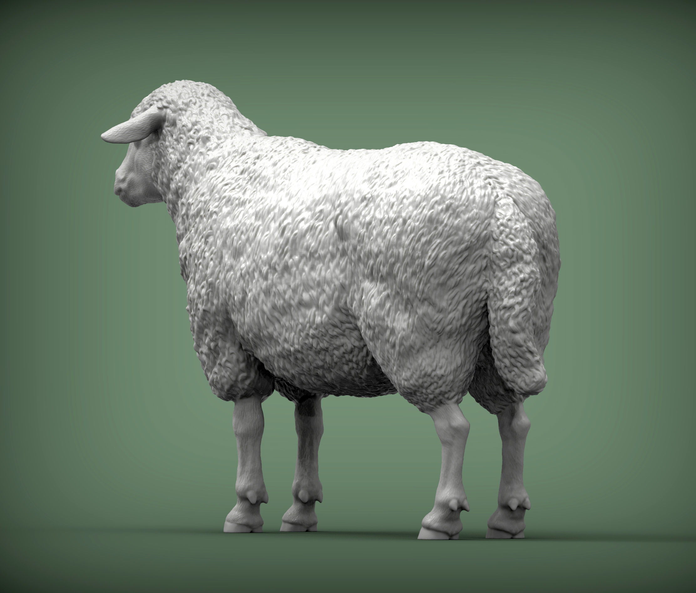 Sheep 3D print model 3D print model_2