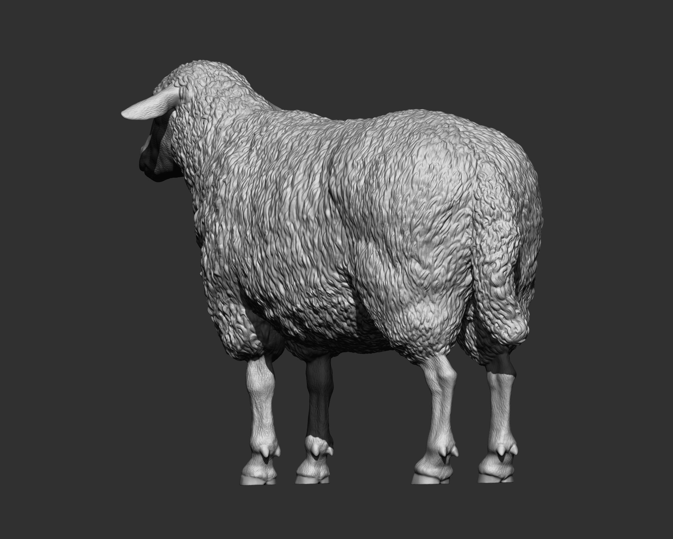 Sheep 3D print model 3D print model_5