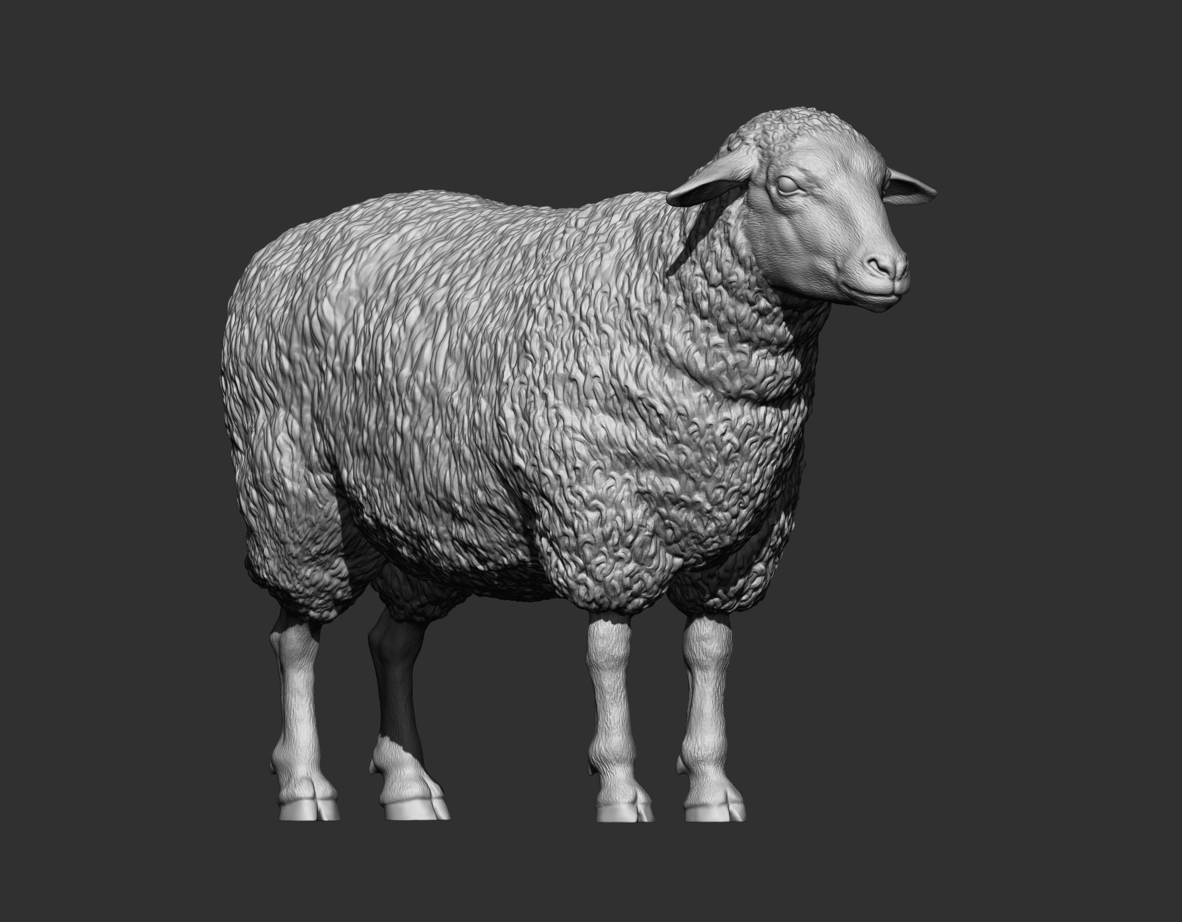 Sheep 3D print model 3D print model_7
