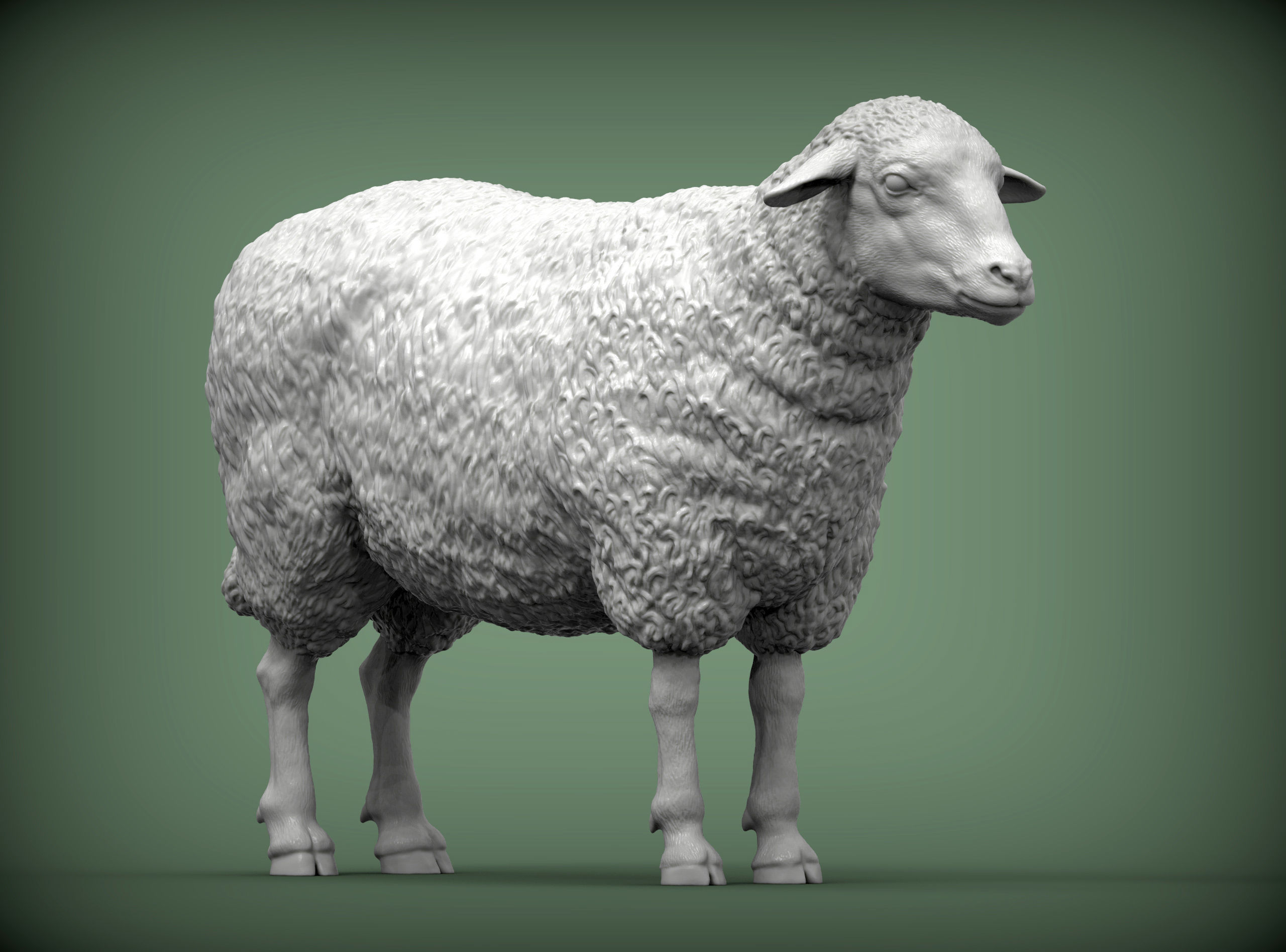 Sheep 3D print model 3D print model_4