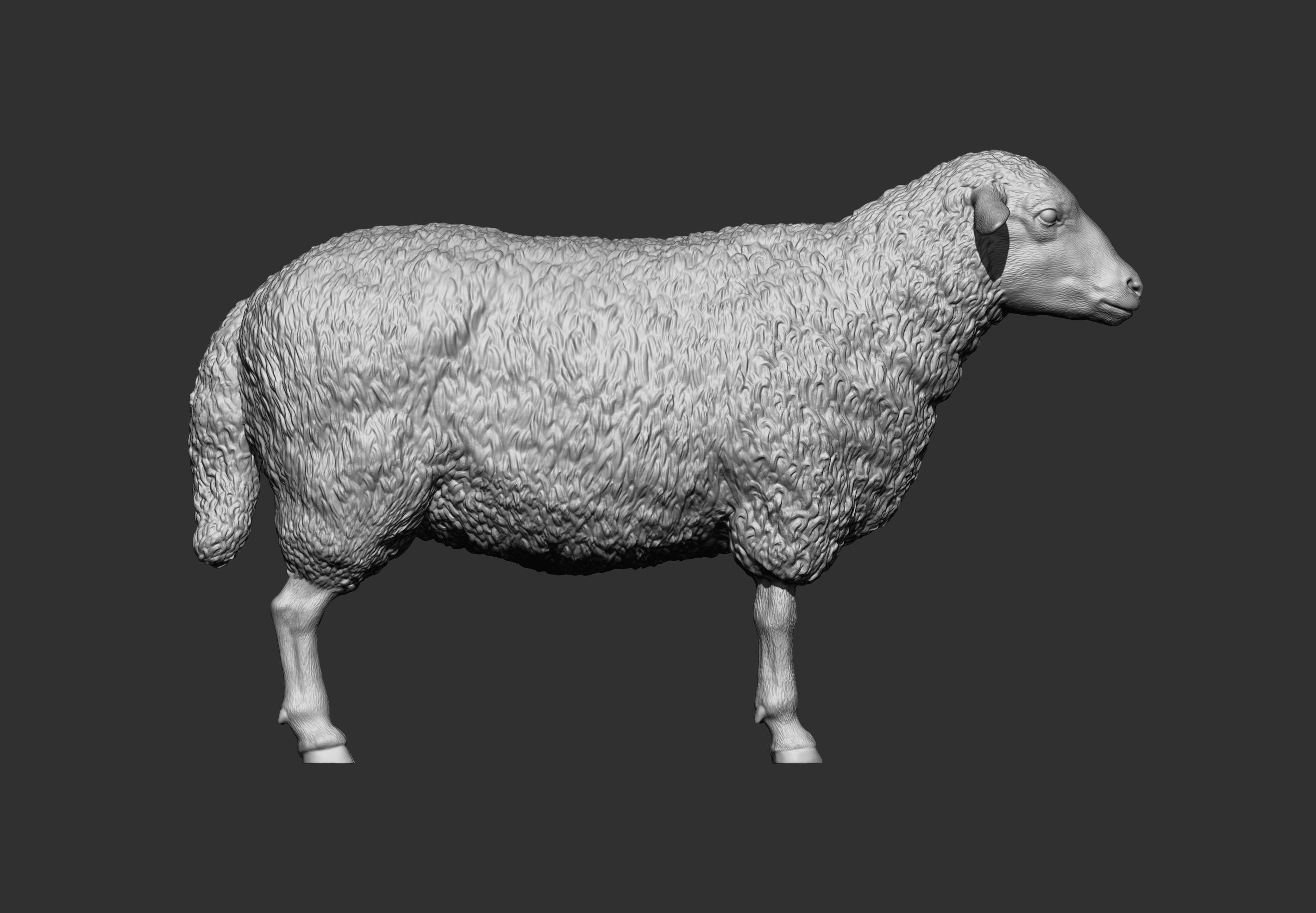 Sheep 3D print model 3D print model_6