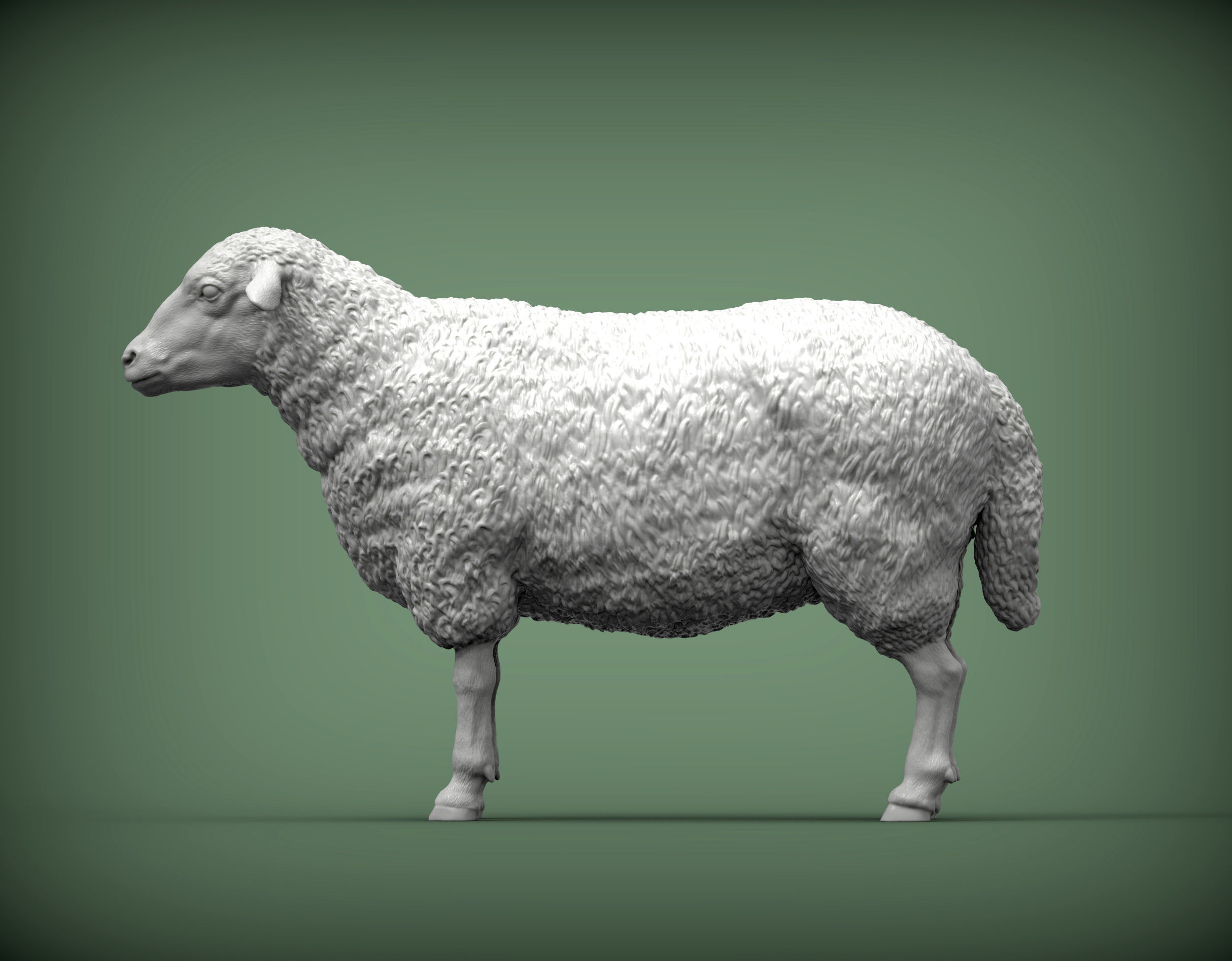 Sheep 3D print model 3D print model_3