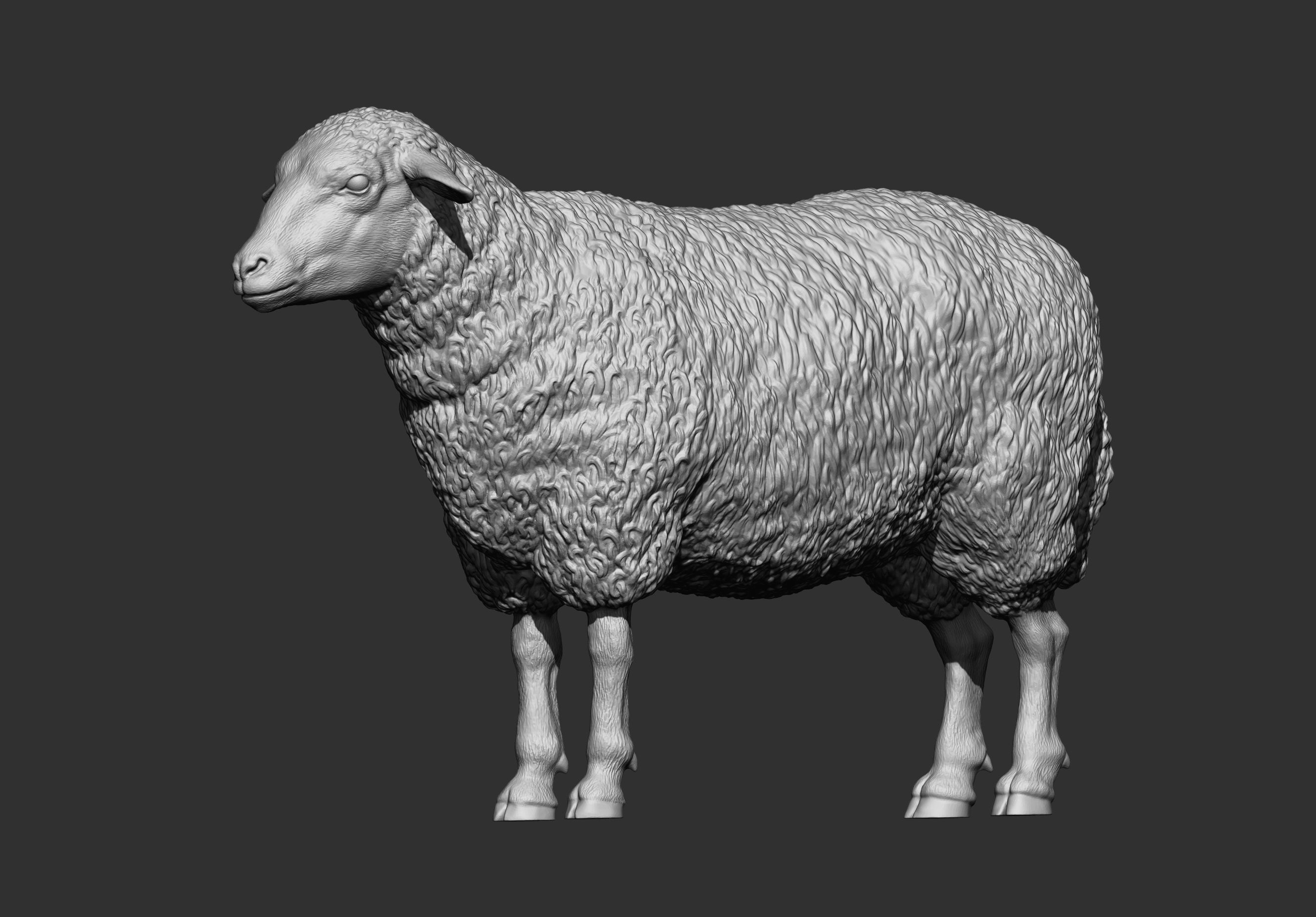 Sheep 3D print model 3D print model_8