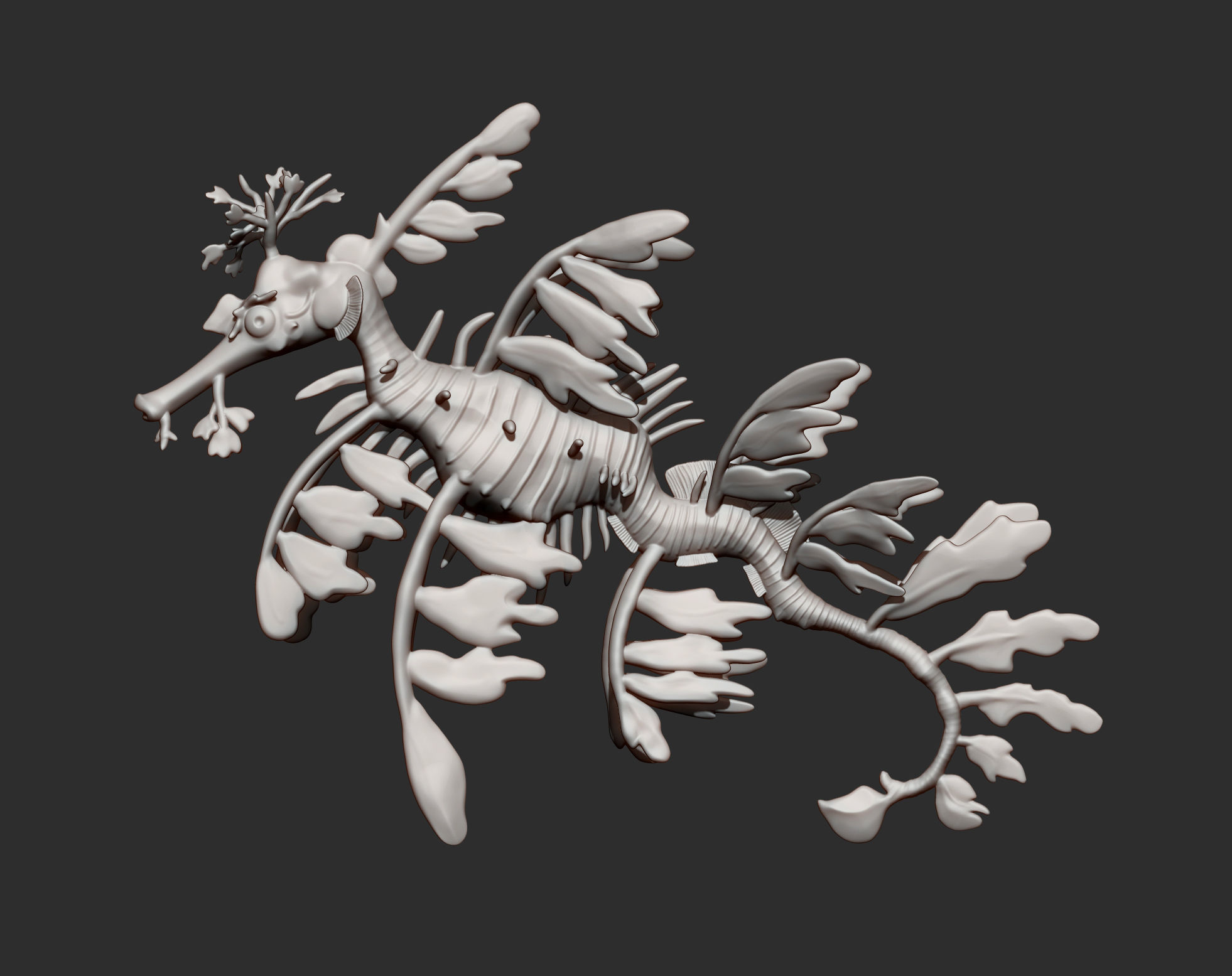 Sea Dragon 3D print model_13