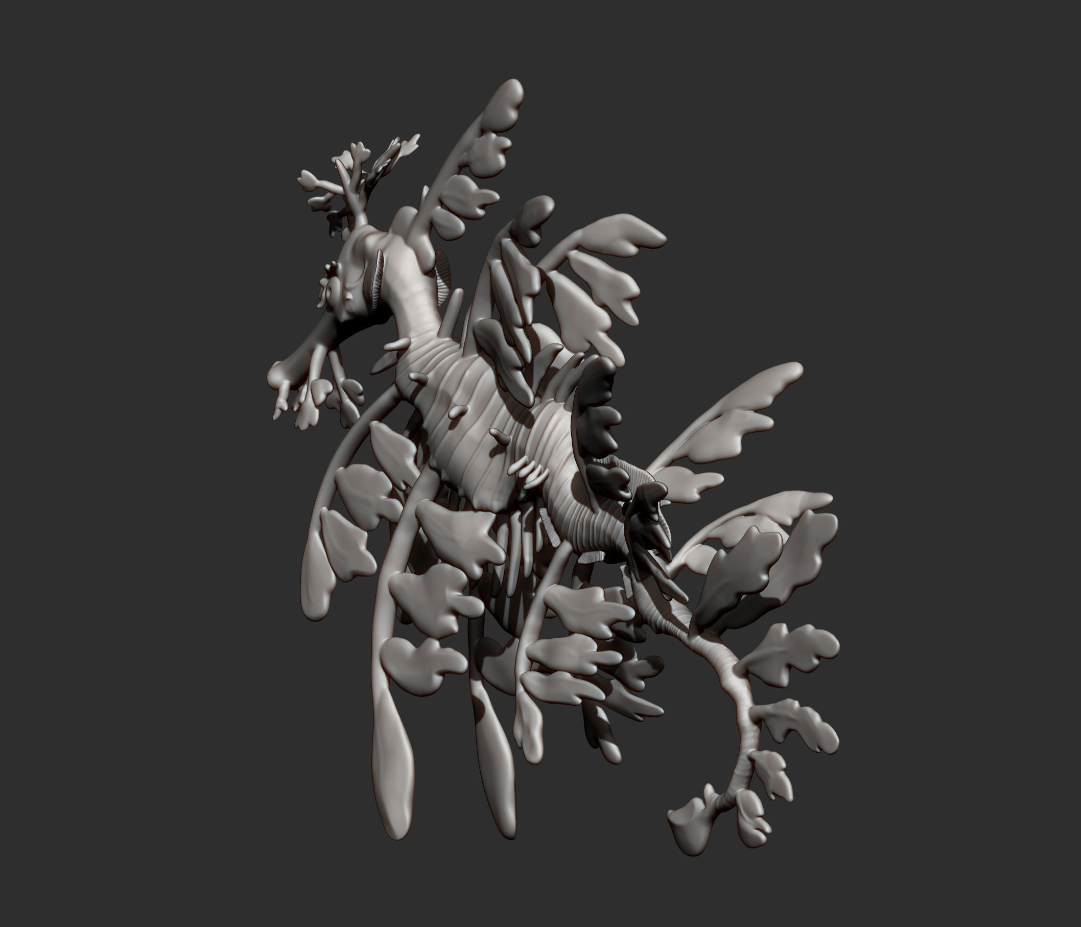 Sea Dragon 3D print model_15