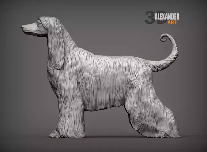 Afghan hound 3D print model