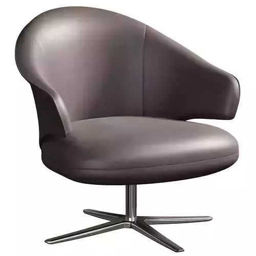 Turtle Walter Knoll Lounge Chair by miliashop