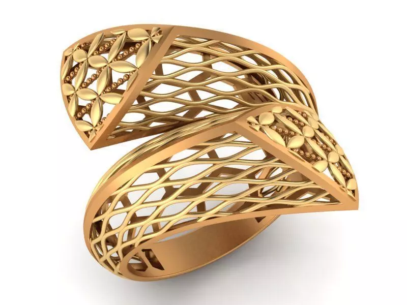 ring fusion 3D print model_0