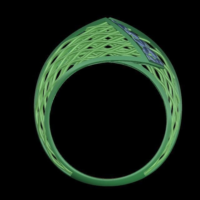 ring fusion 3D print model_2
