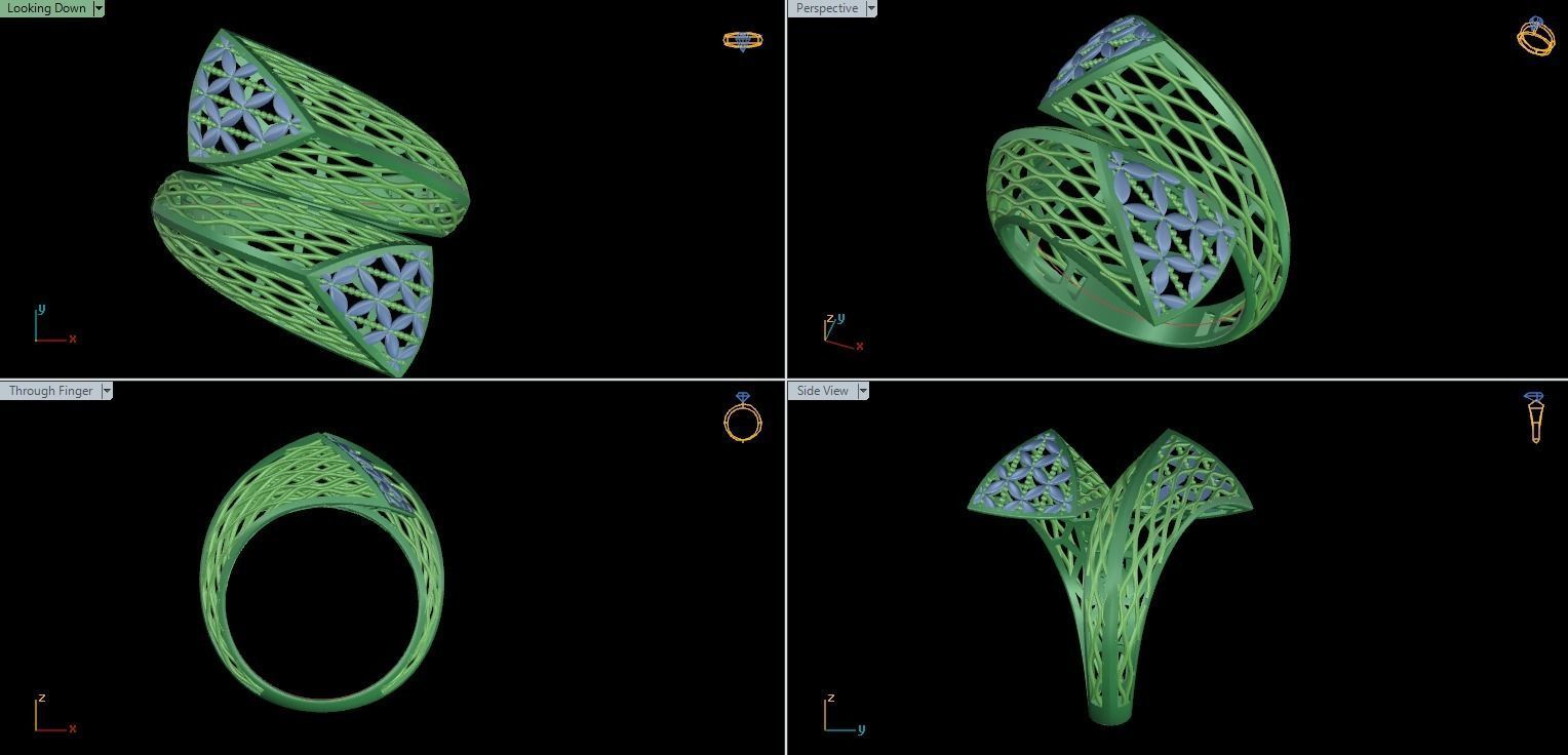 ring fusion 3D print model_5