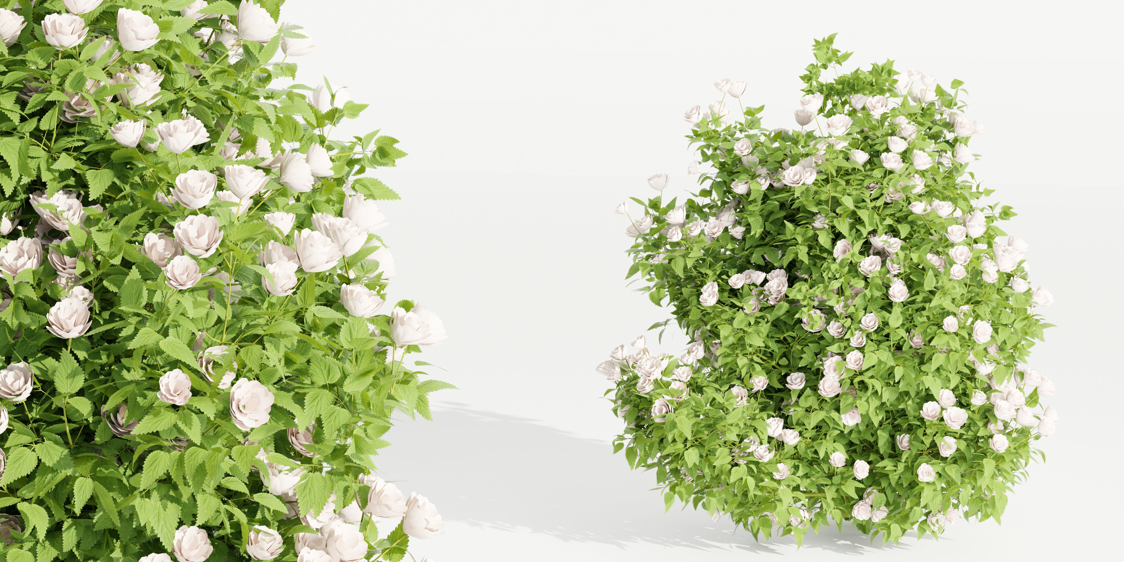 collection flowering bush vol 4-Blender 3D model_3
