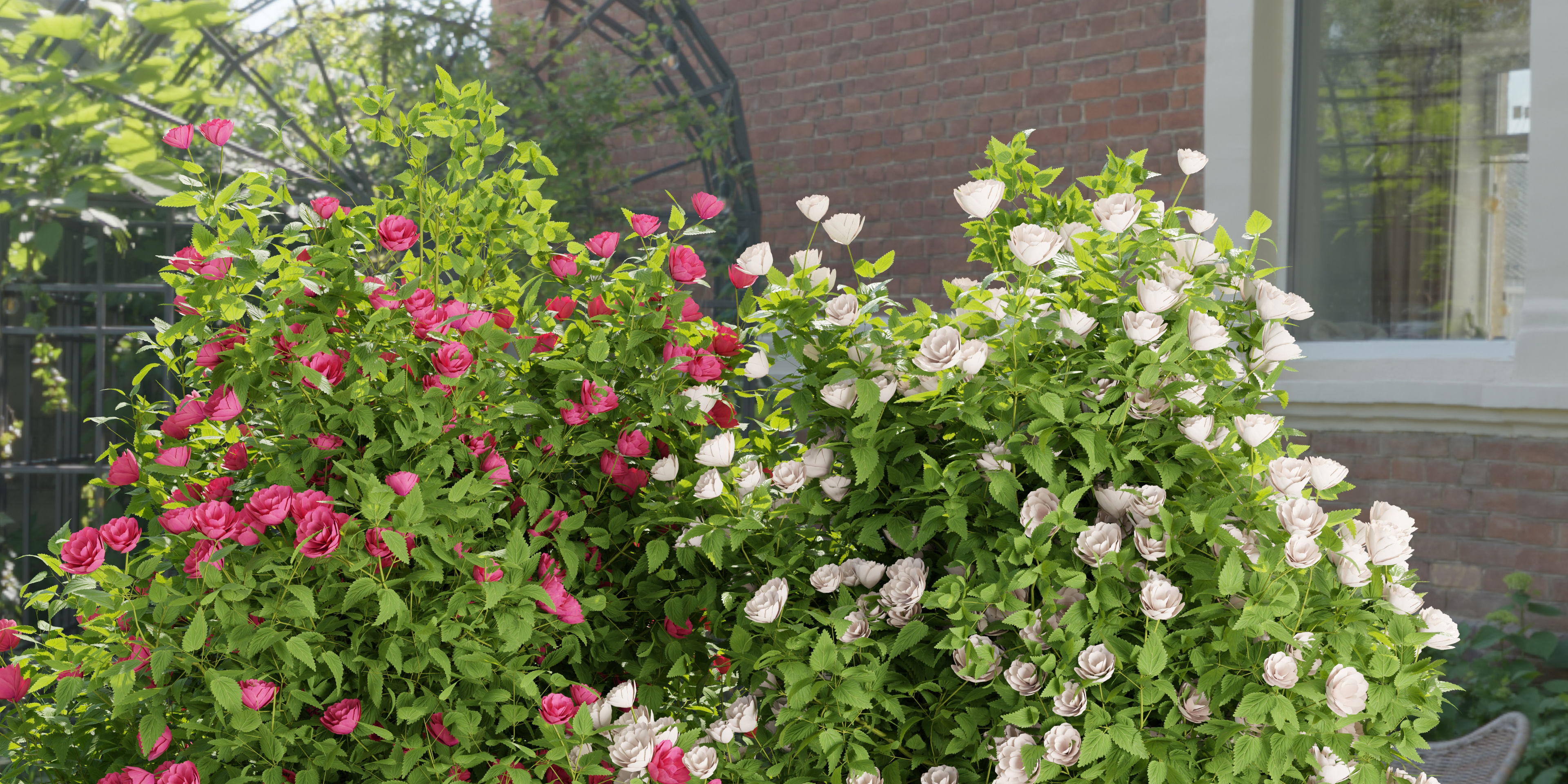 collection flowering bush vol 4-Blender 3D model_4