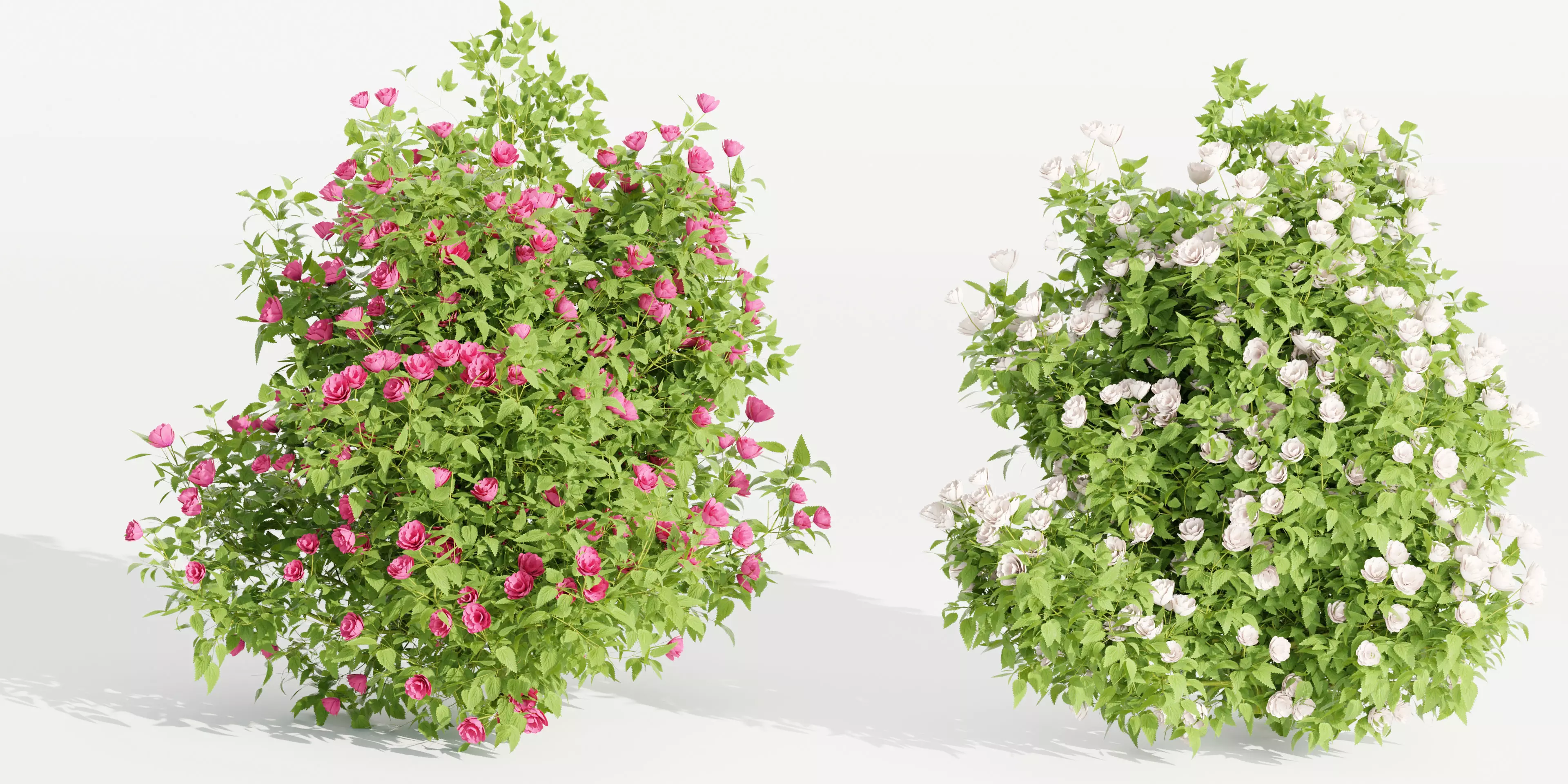 collection flowering bush vol 4-Blender 3D model_0